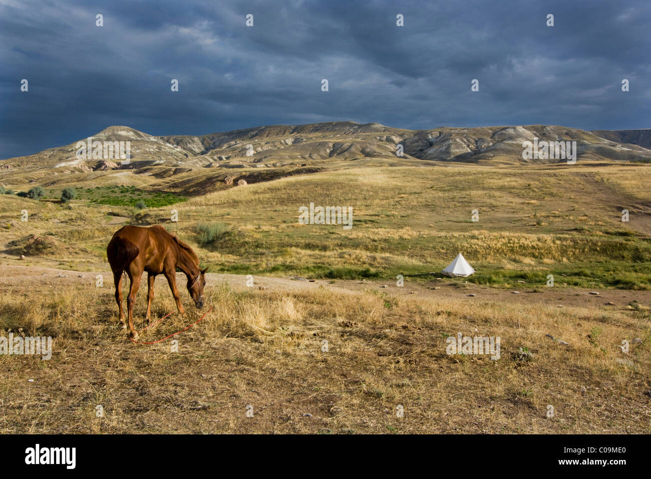 Pferd in Gewitterstimmung in Tuffstein Landschaft, Kappadokien, Anatolien, Türkei, Zentralasien Stockfoto