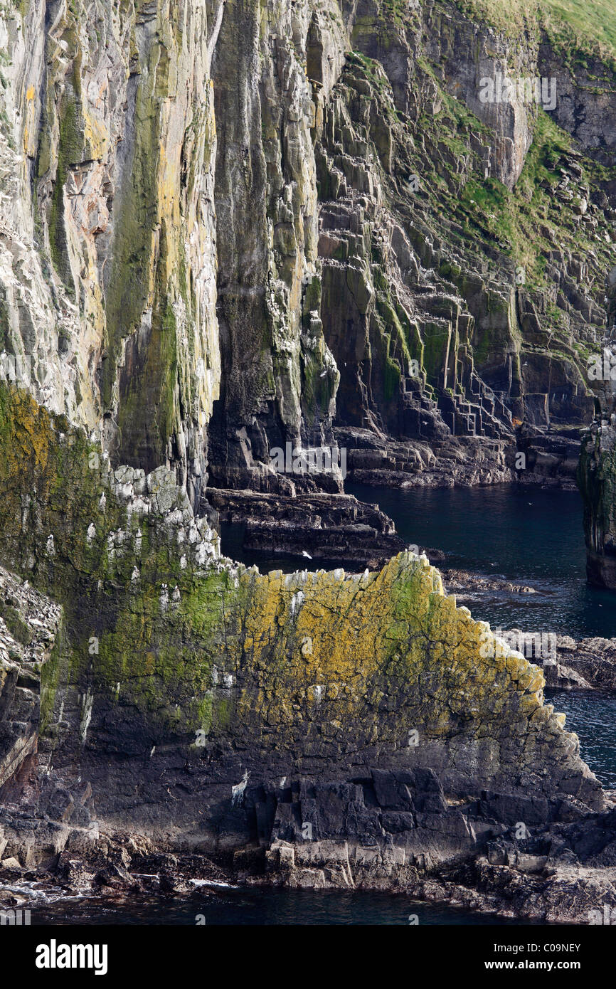 Klippen, steile Küste auf der Old Head of Kinsale, County Cork, Irland, britische Inseln, Europa Stockfoto