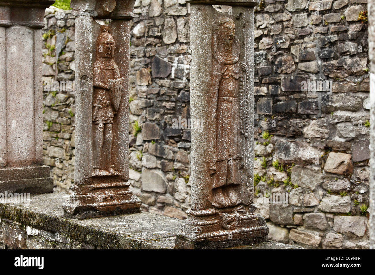Figuren auf Steinsäulen, Kreuzgang, Jerpoint Abbey, Grafschaft Kilkenny, Irland, britische Inseln, Europa Stockfoto