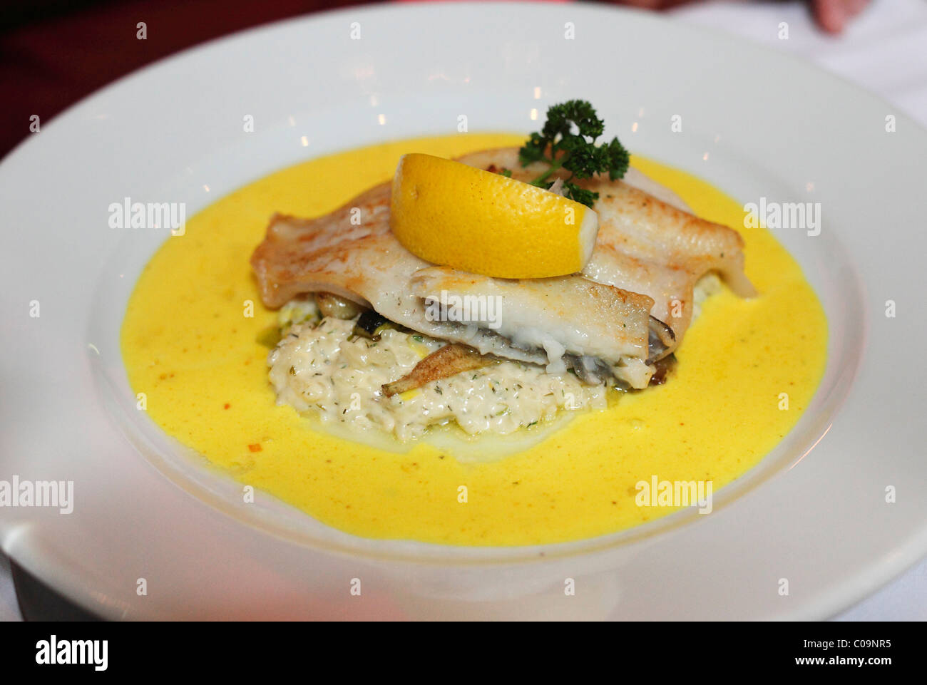 Fisch-Filet auf Reis, Jola Restaurant, Kinsale, County Cork, Irland, britische Inseln, Europa Stockfoto