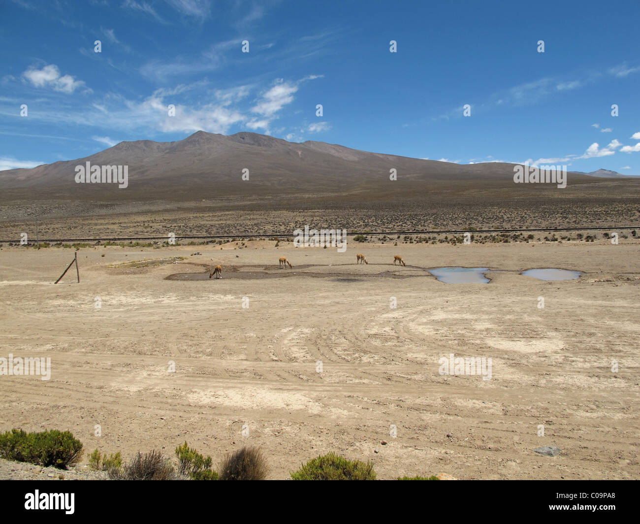 Vulkanlandschaft, in der Nähe von Pampa Canahuas Arequipa, Peru (auf dem Weg zum Colca Tal, nationale Reserve für Vincunas) Stockfoto