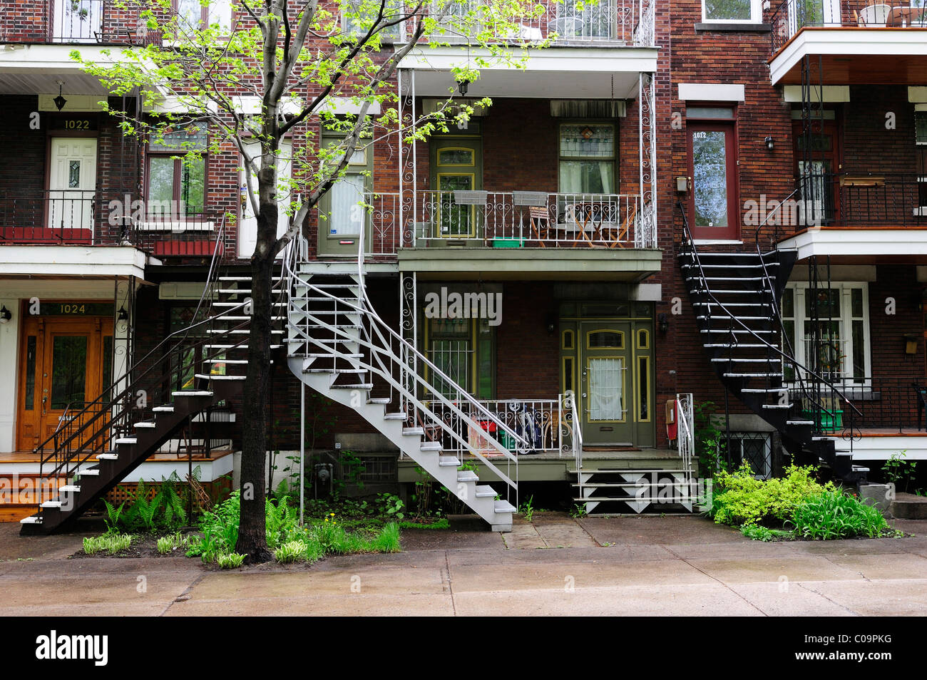 Typische Häuser mit Treppen in den ersten Stock in Montreal, Quebec, Kanada Stockfoto