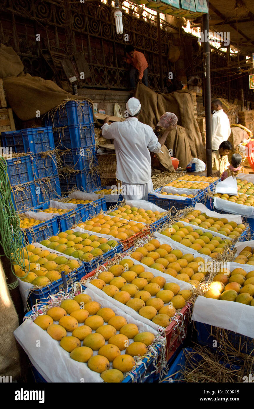 Indien, Bundesstaat Maharashtra, Mumbai (aka Bombay). Innenstadt von Crawford Market wo frische Produkte verkauft, Höhepunkt der Mango-Saison. Stockfoto