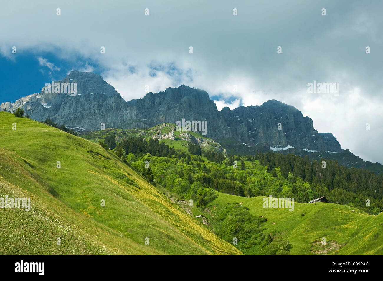 Wiesen auf den Klausenpass übergeben, Kanton Uri, Schweiz, Europa Stockfoto