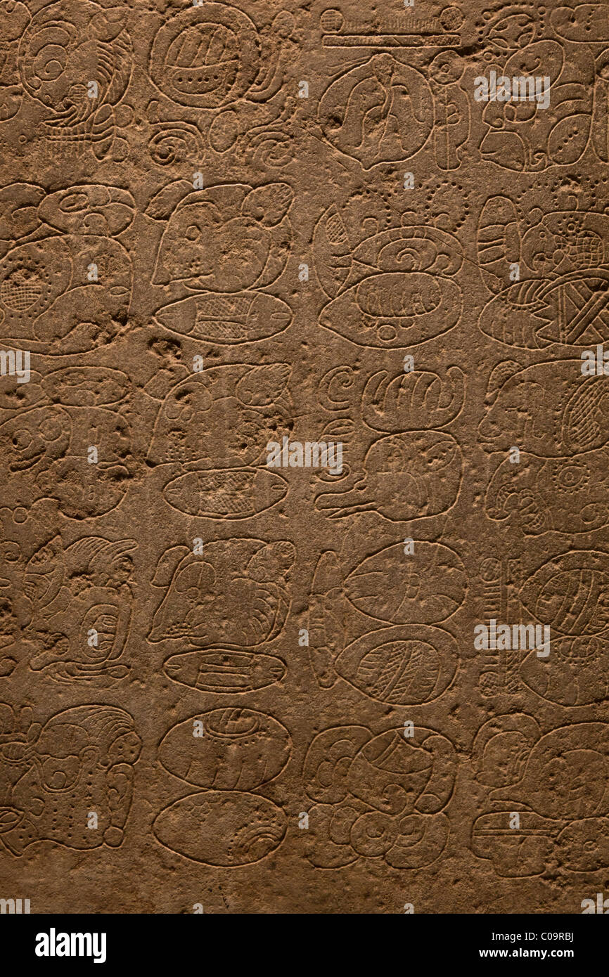 Maya-Glyphen auf Lintel 18 aus der Maya-Stätte Yaxchilan, in Chiapas, Mexiko. Nationales Museum für Anthropologie, Mexiko-Stadt. Stockfoto
