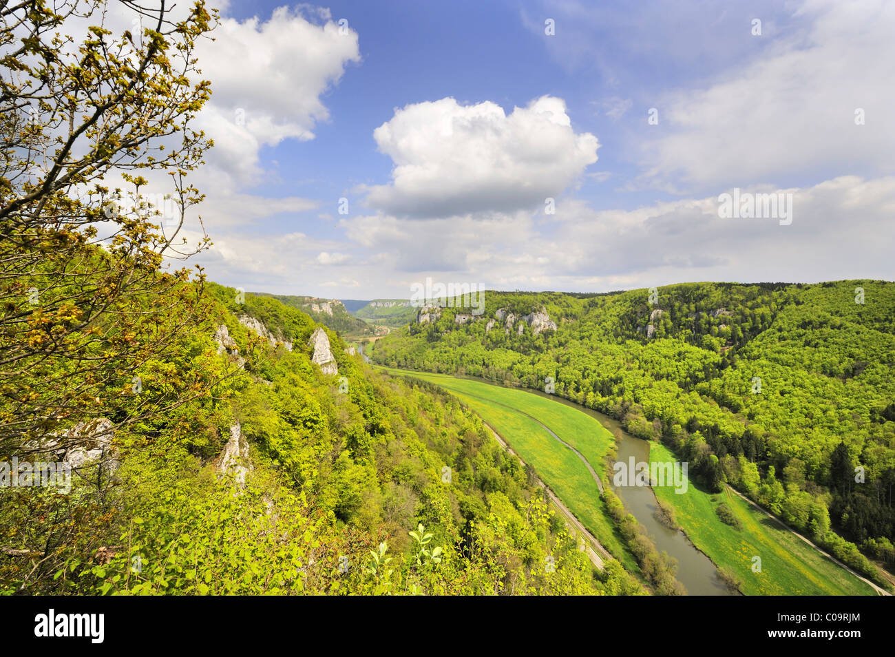 Blick in das obere Donautal mit Vegetation im Frühjahr, Bezirk Landkreis Sigmaringen, Baden-Württemberg, Deutschland, Europa Stockfoto