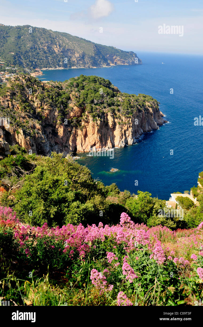 Wilde Küstenlandschaft mit Blick auf das Cap de Begur, in der Nähe von Begur, Costa Brava, Spanien, Iberische Halbinsel, Europa Stockfoto