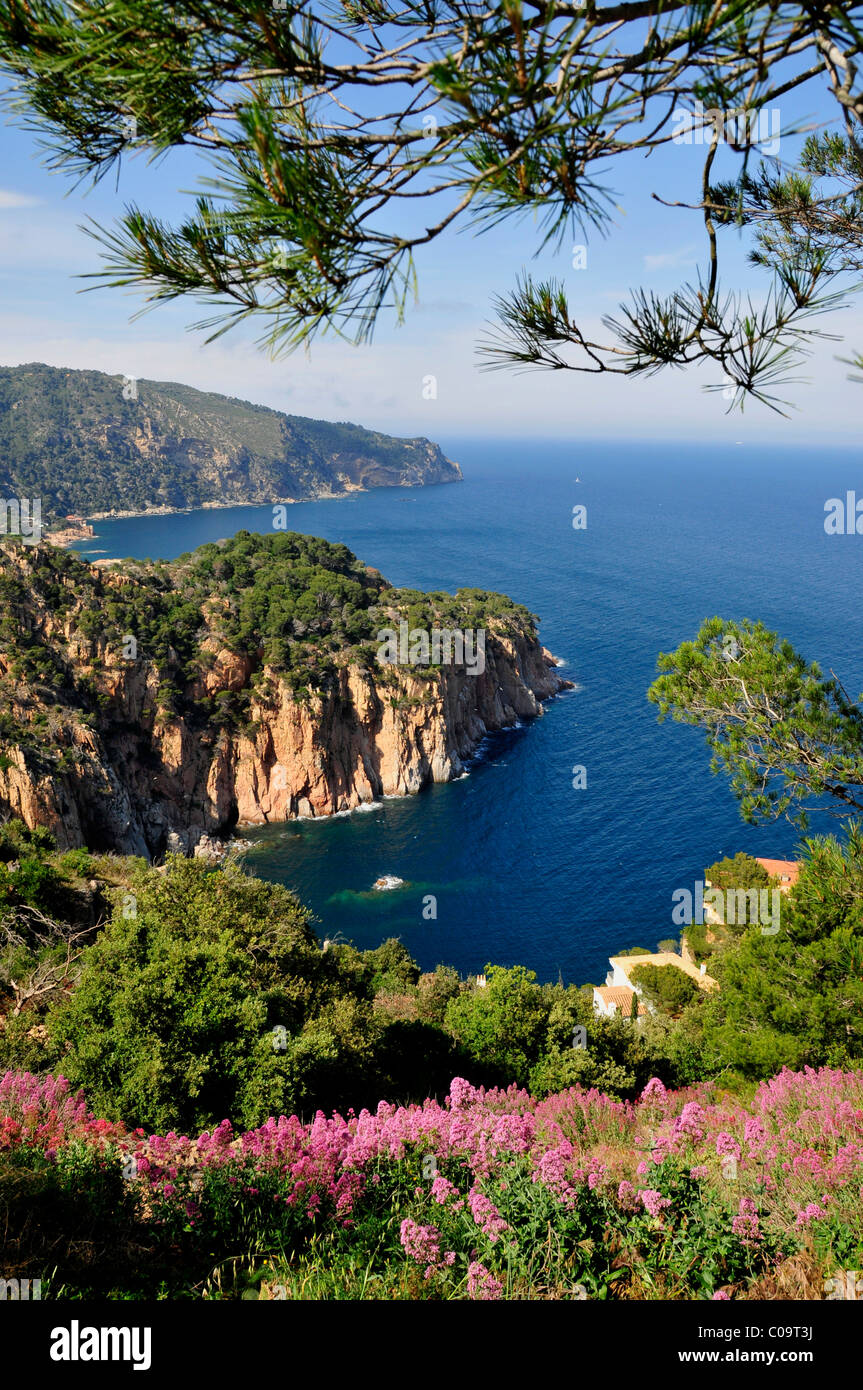 Wilde Küstenlandschaft mit Blick auf das Cap de Begur, in der Nähe von Begur, Costa Brava, Spanien, Iberische Halbinsel, Europa Stockfoto