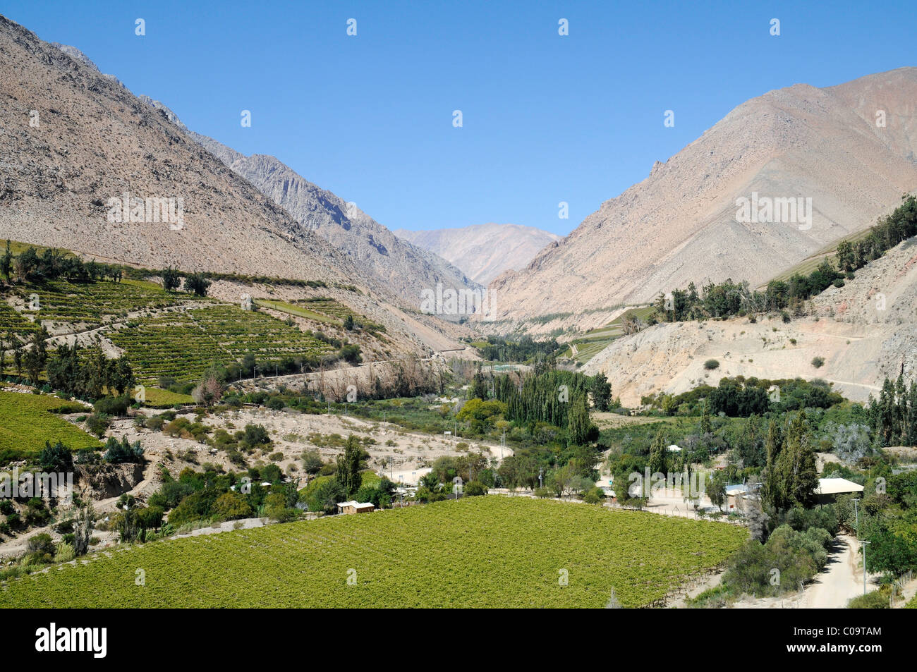 Landschaft, Weinberge, Landwirtschaft, fruchtbaren Tal, Wüstenberge, Monte Grande, Dorf, Vikunja, Valle d'Elqui, Elqui-Tal Stockfoto