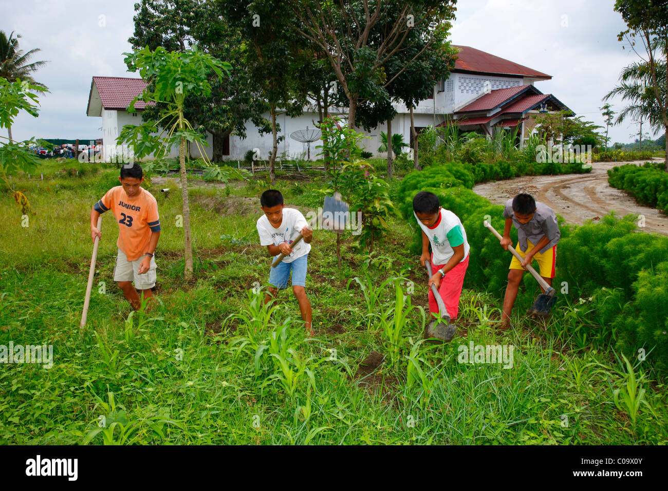 Kinder im Garten, im Gemüsegarten, Margaritha Kinderheim, Marihat, Batak Region, Insel Sumatra, Indonesien, Asien Stockfoto