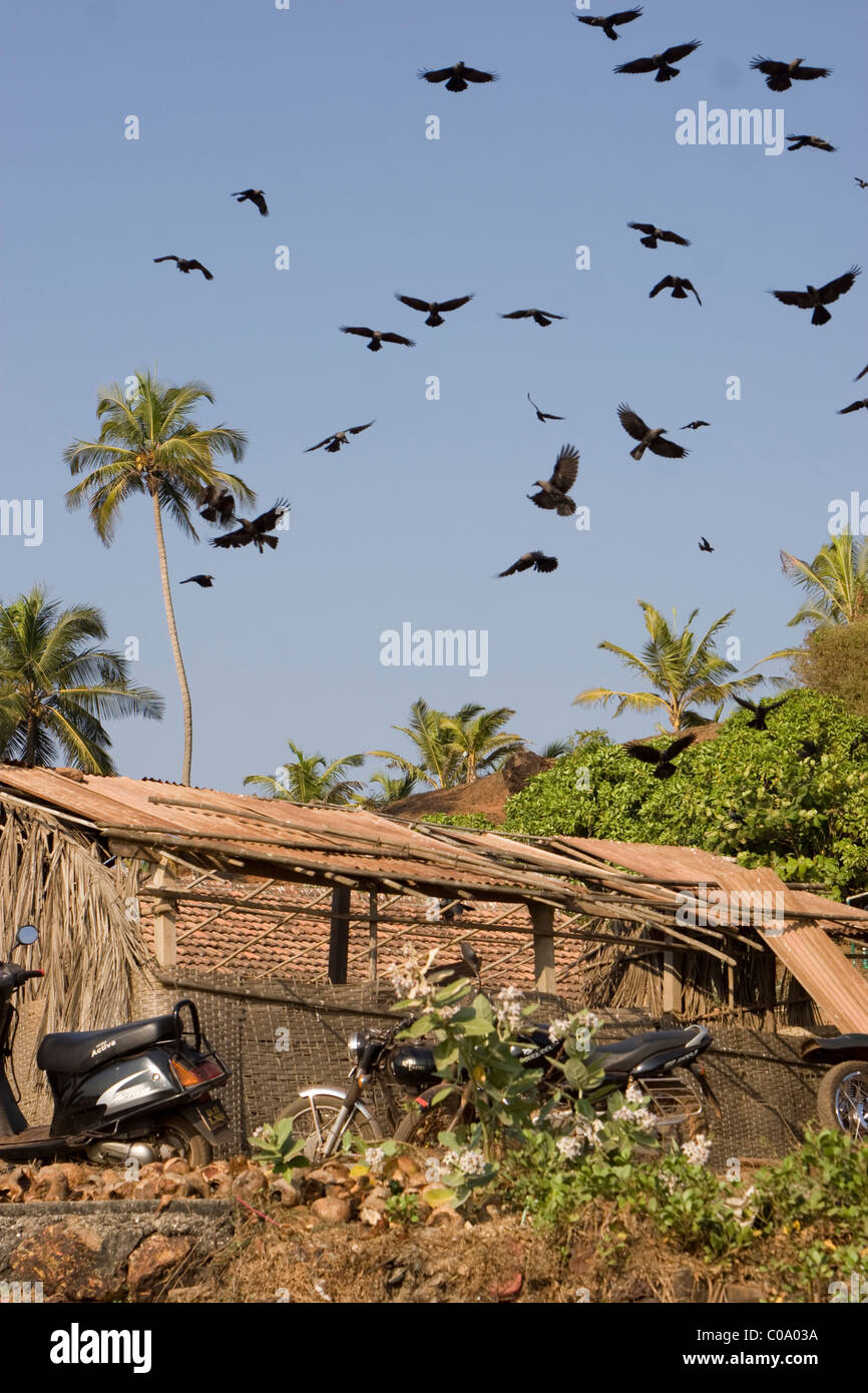 Goan Ferienorte Stockfoto