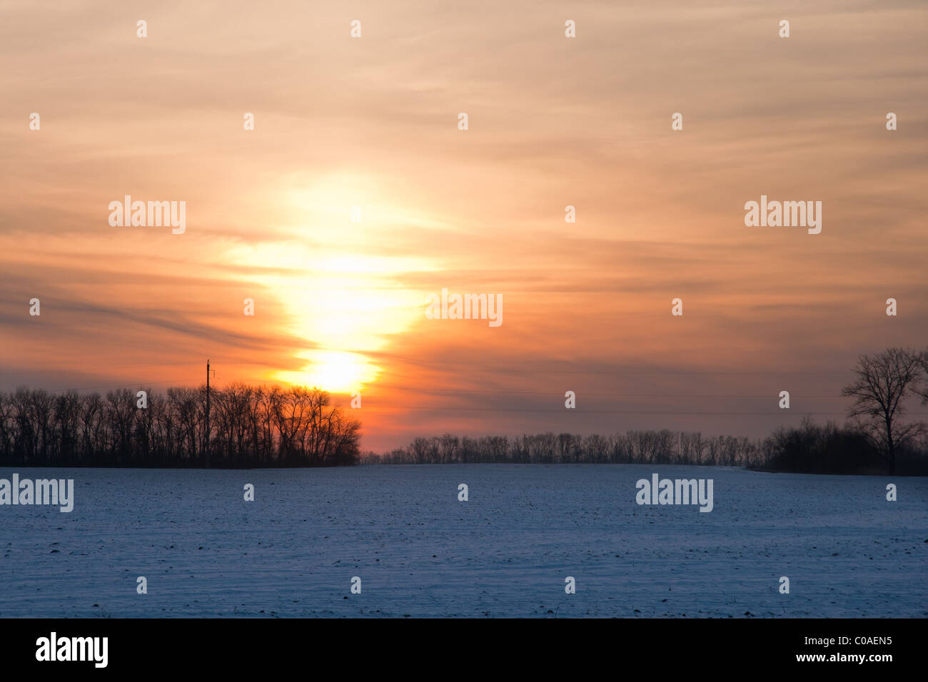 Feld-Sonnenuntergang in Russland Stockfoto