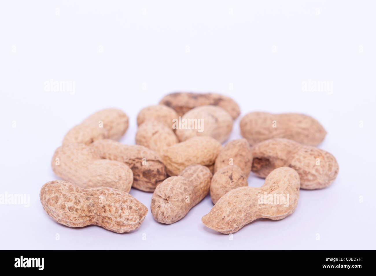 Einige Monkey Nuts (Erdnüsse in Schalen) auf weißem Hintergrund Stockfoto