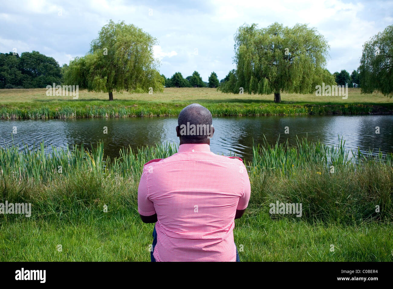 Schwarzer Rüde sitzen auf einer Bank, Blick auf die Landschaft Stockfoto Schwarzer Rüde sitzen auf einer Bank, Blick auf die Landschaft Stockfoto