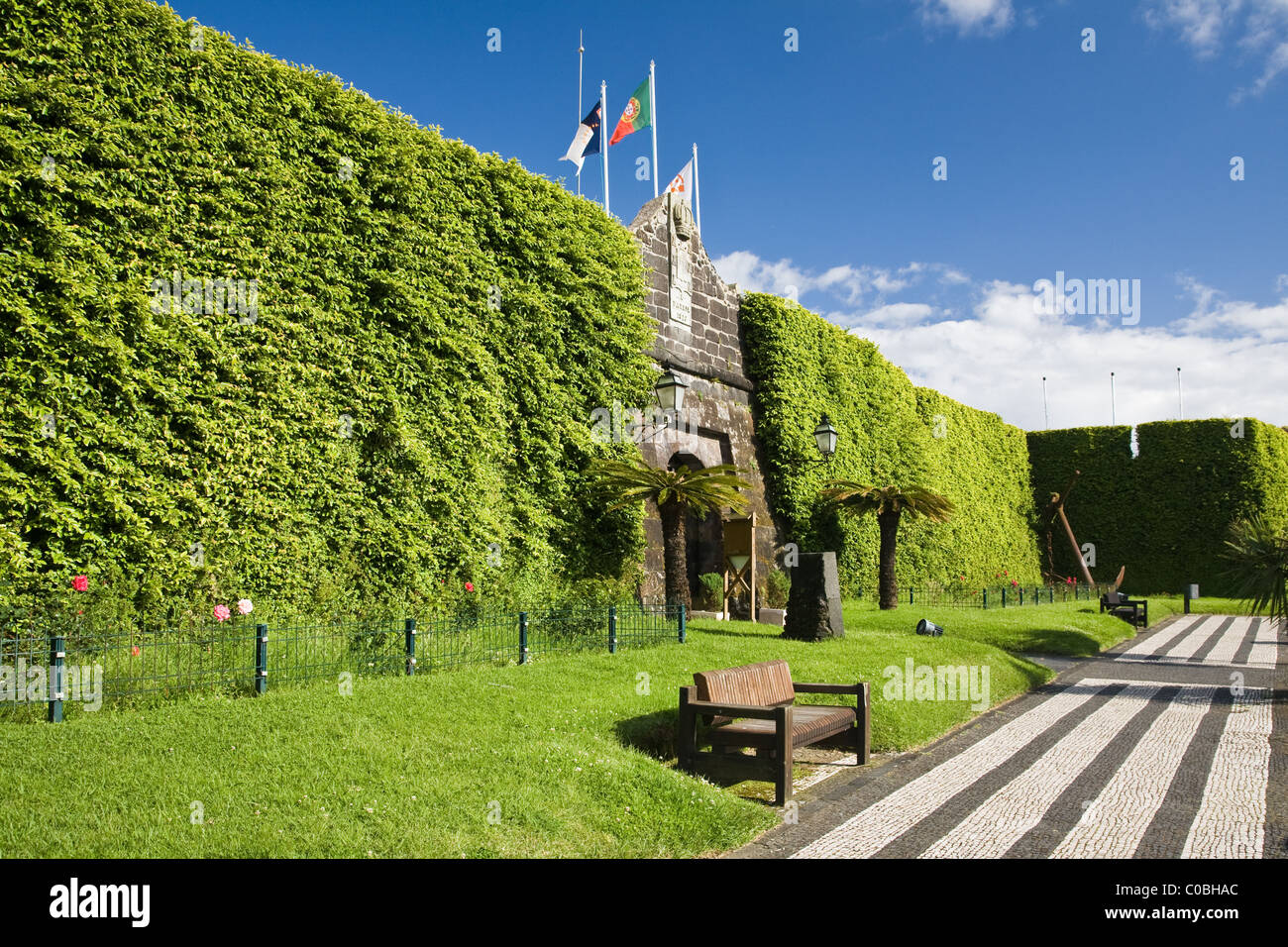 Insel Faial - Azoren Stockfoto