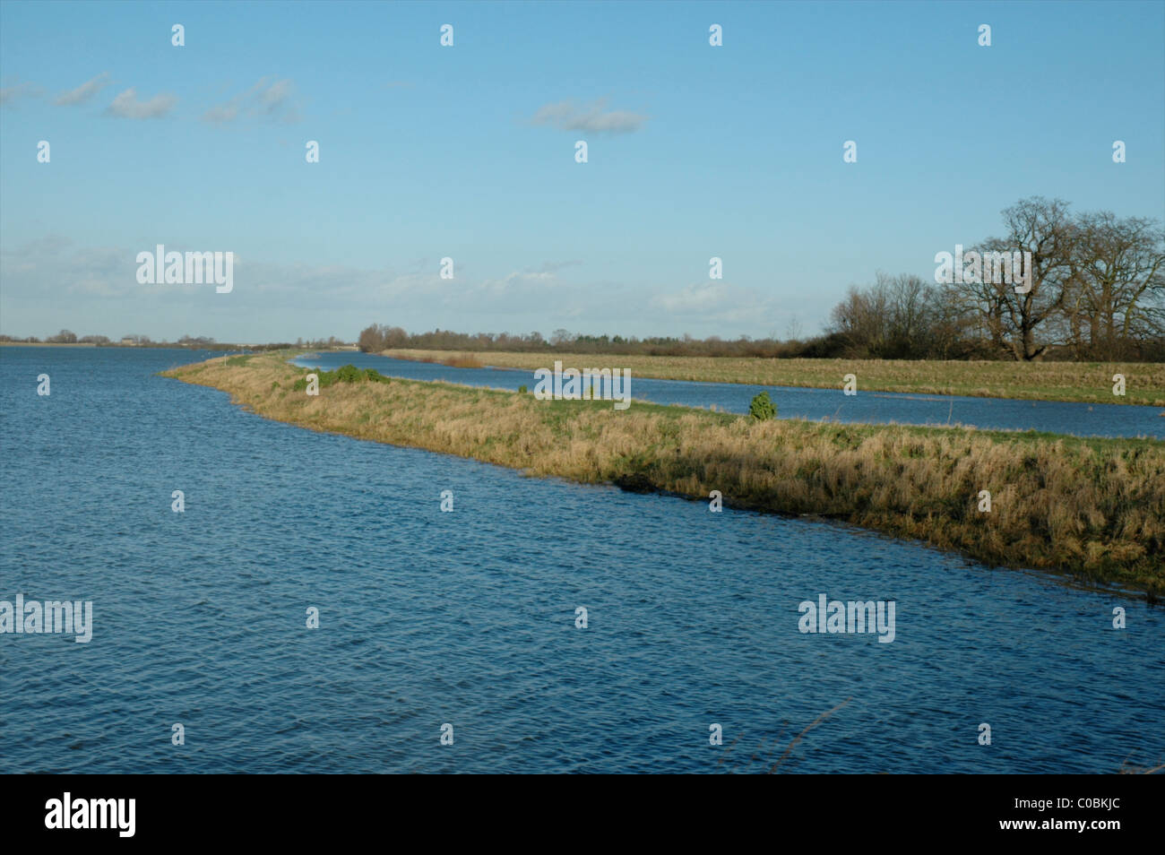 Fen, die Überschwemmungen an der Ouse wäscht bei Sutton Gault, Cambridgeshire, England, UK Stockfoto