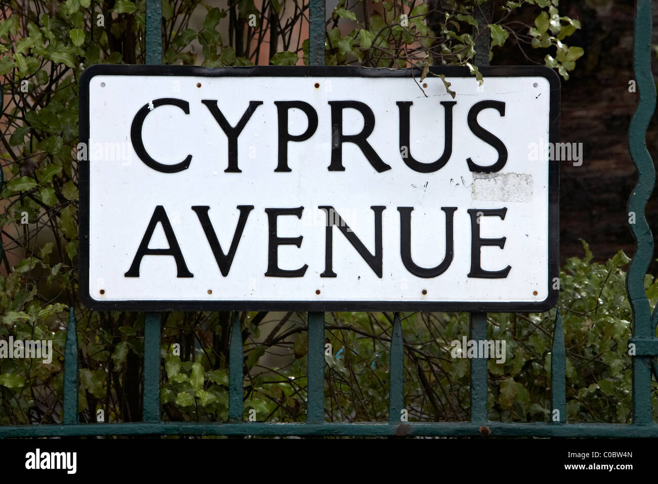 Zypern Avenue Belfast wie Van Morrison Lied berühmt gemacht Stockfoto