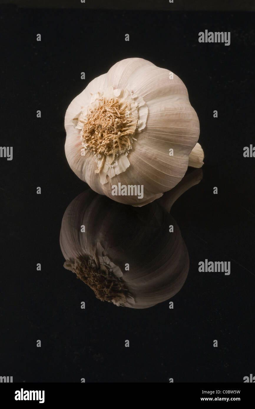 Knoblauch Zwiebeln auf einem schwarzen Hintergrund Stockfoto