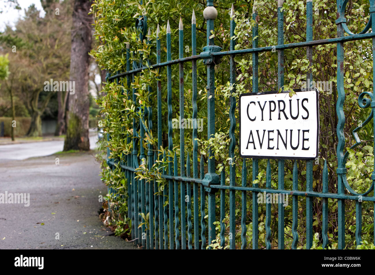 Zypern Avenue Belfast wie Van Morrison Lied berühmt gemacht Stockfoto