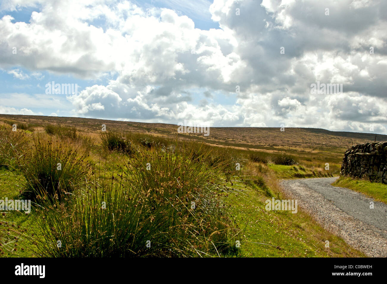 Yorkshire Bronte Land West Riding Stockfoto