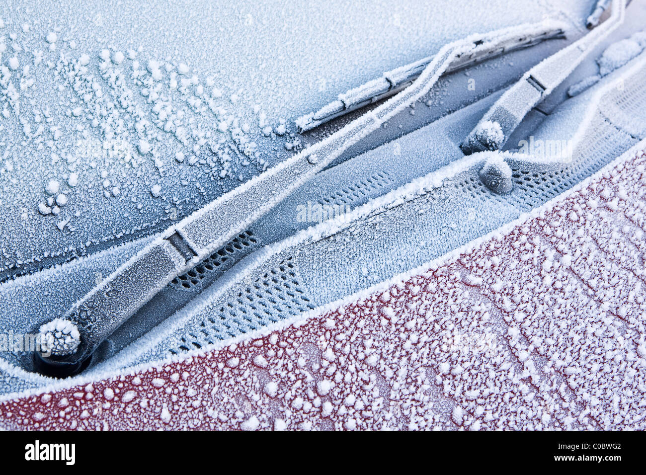 Die gefrostete Windschutzscheibe eines Autos an einem Wintermorgen. Eine  Schutzmatte schützt vor Frost an der Windschutzscheibe Stockfotografie -  Alamy