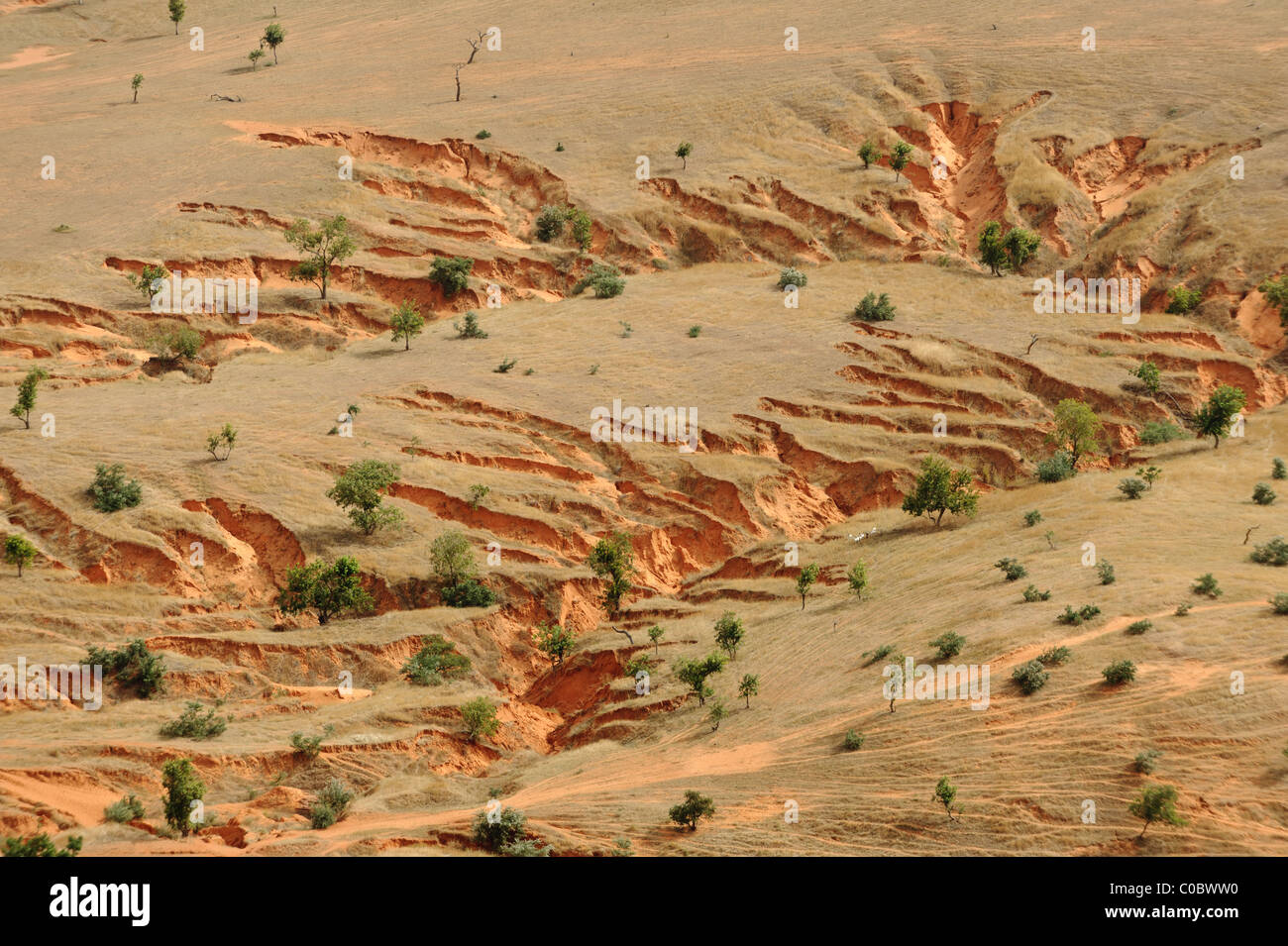 Gully Erosion auf der Gondo-Ebene, auf der Ostseite des zahlt Dogon, Mali. Stockfoto