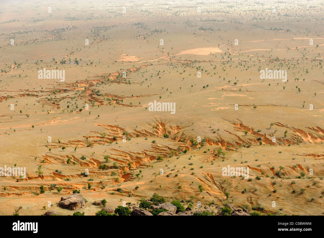 Gully Erosion auf der Gondo-Ebene, auf der Ostseite des zahlt Dogon, Mali Stockfoto