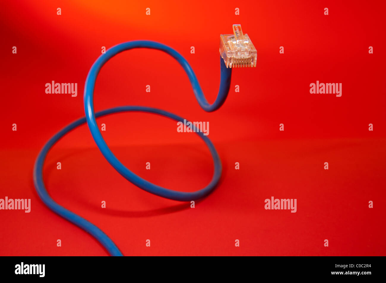 Ethernet-Kabel mit Stecker, aufgerollt wie eine Schlange auf rotem Grund Stockfoto