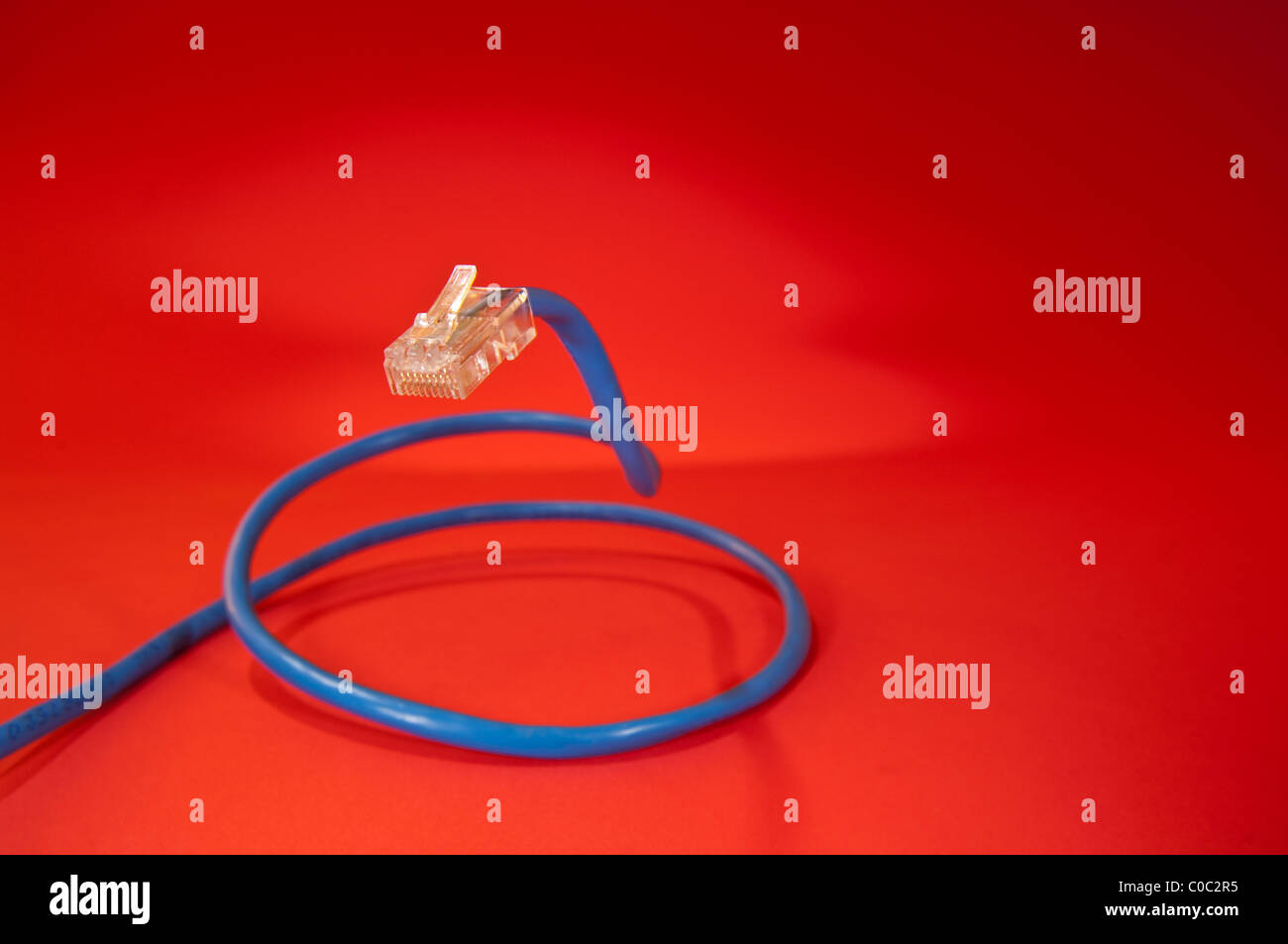 Ethernet-Kabel mit Stecker, aufgerollt wie eine Schlange auf rotem Grund Stockfoto