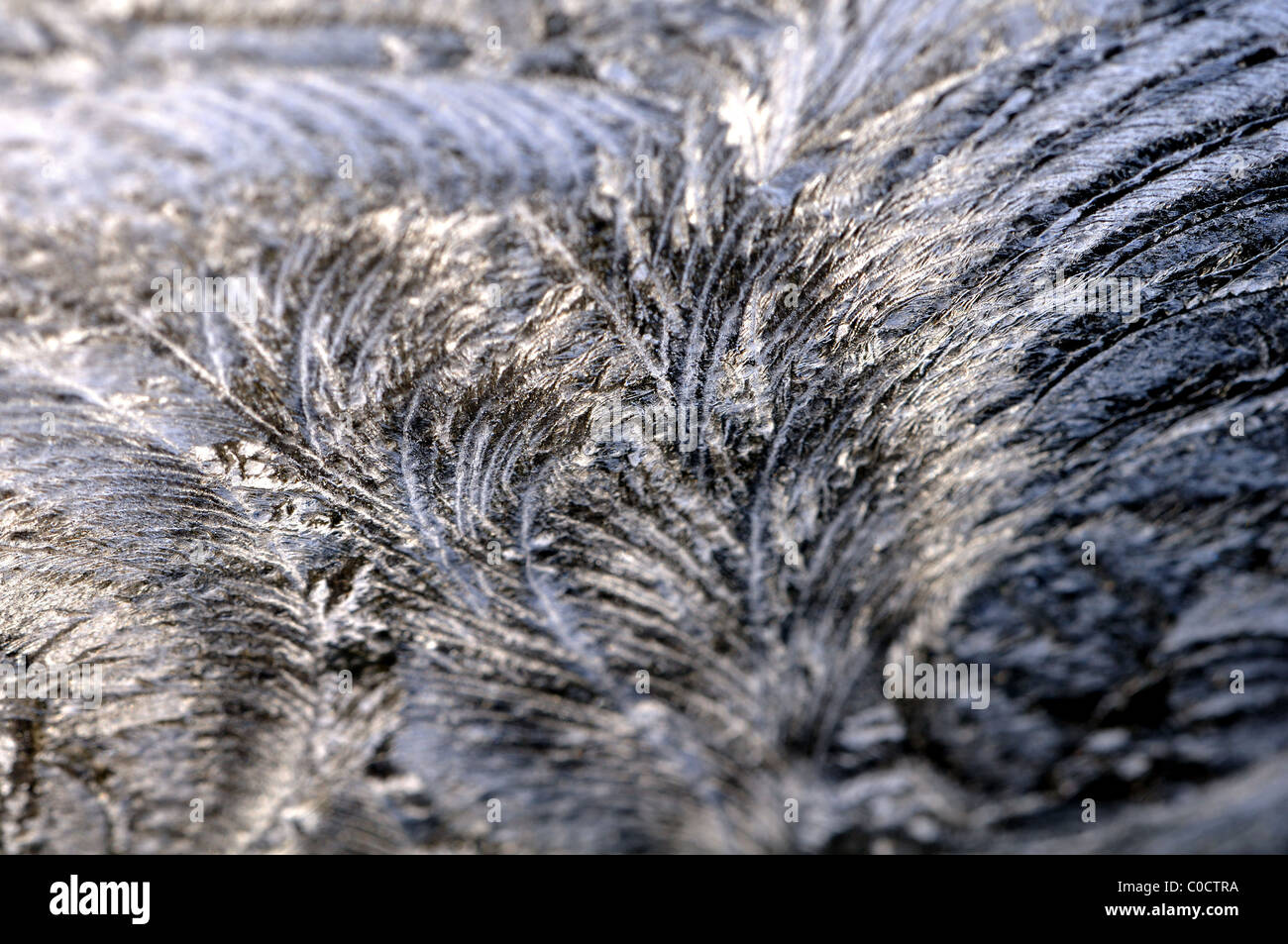 Eisblumen auf Glas Stockfoto