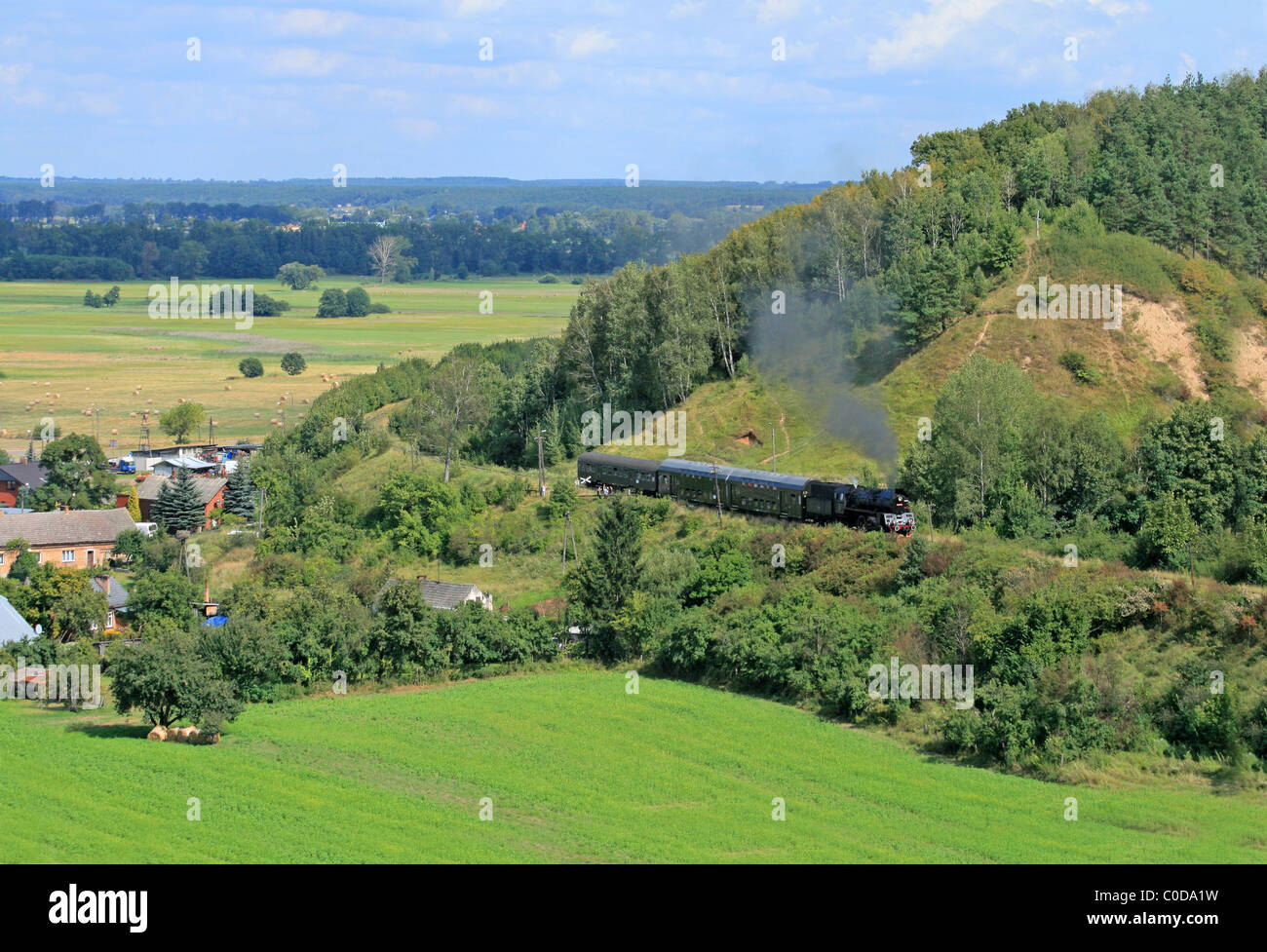 Landschaft mit einem Dampfzug Stockfoto