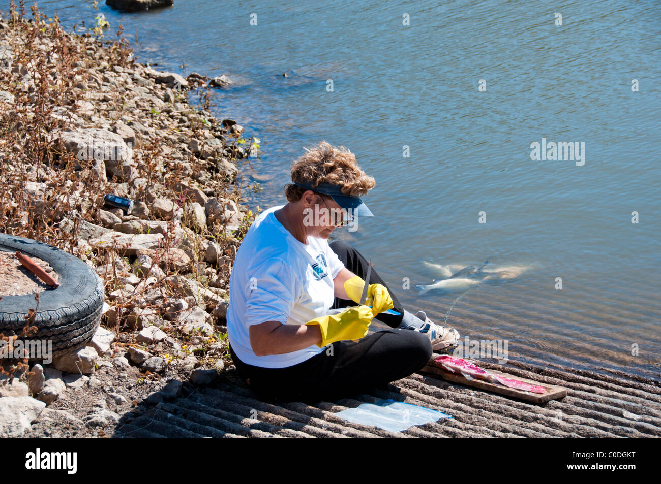 Eine Frau sitzt auf einer Bootsrampe und filet weiße Basshybriden. Eine Fischstränke schwimmt im Wasser. Oklahoma, USA. Stockfoto