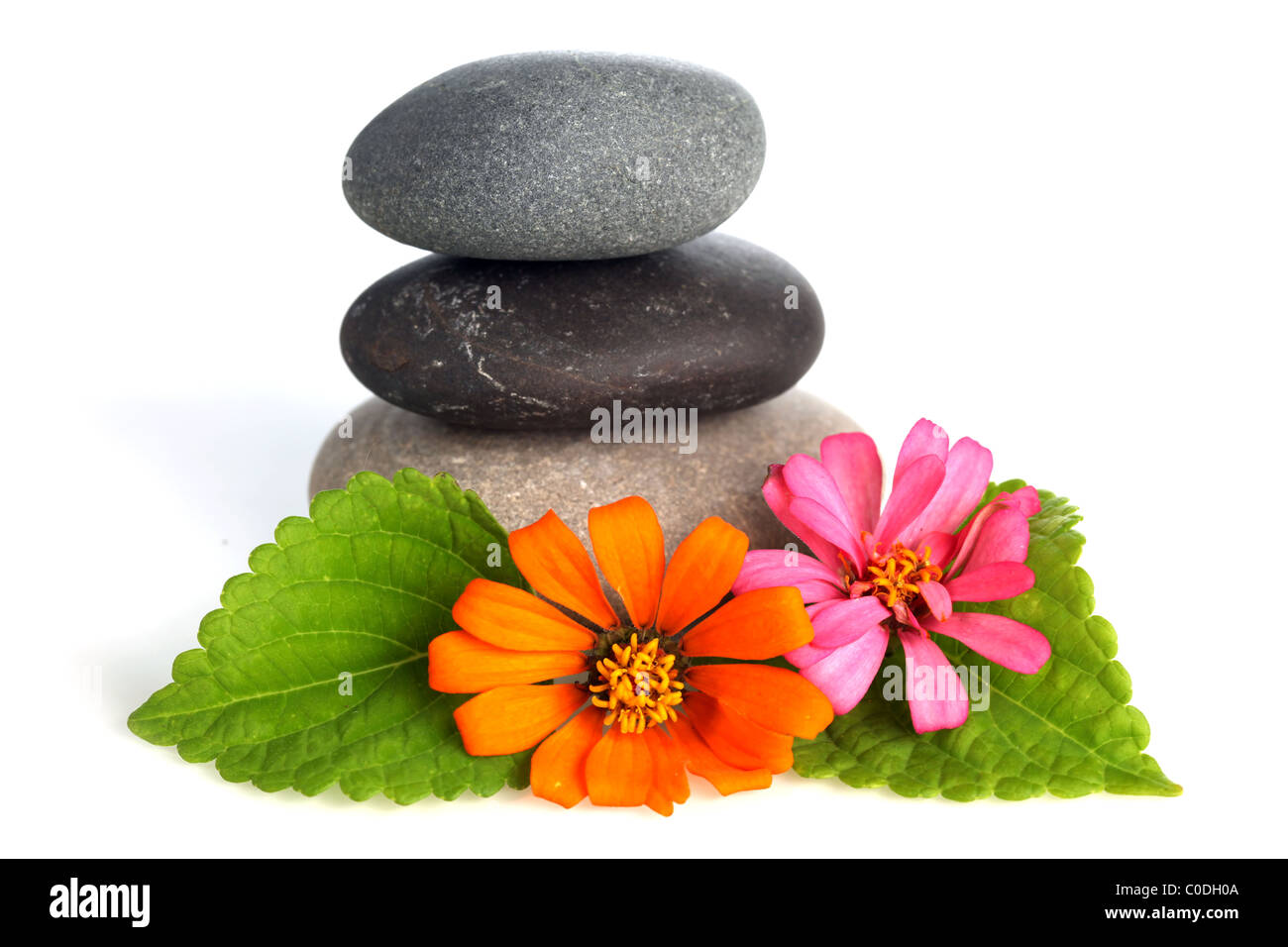 Gestapelten Steinen mit Blumen Stockfoto