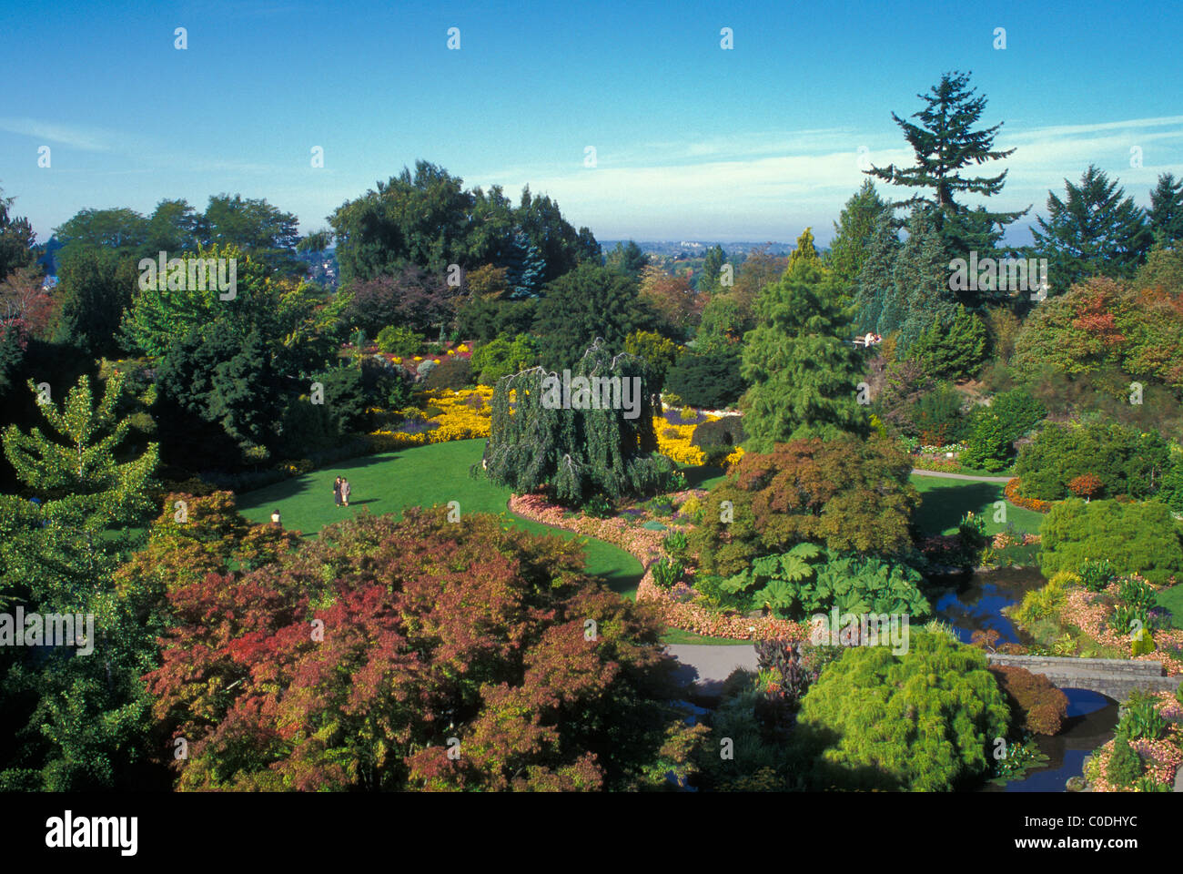 Botanischer Garten im Queen Elizabeth Park, Vancouver, Britisch-Kolumbien, Kanada. Stockfoto