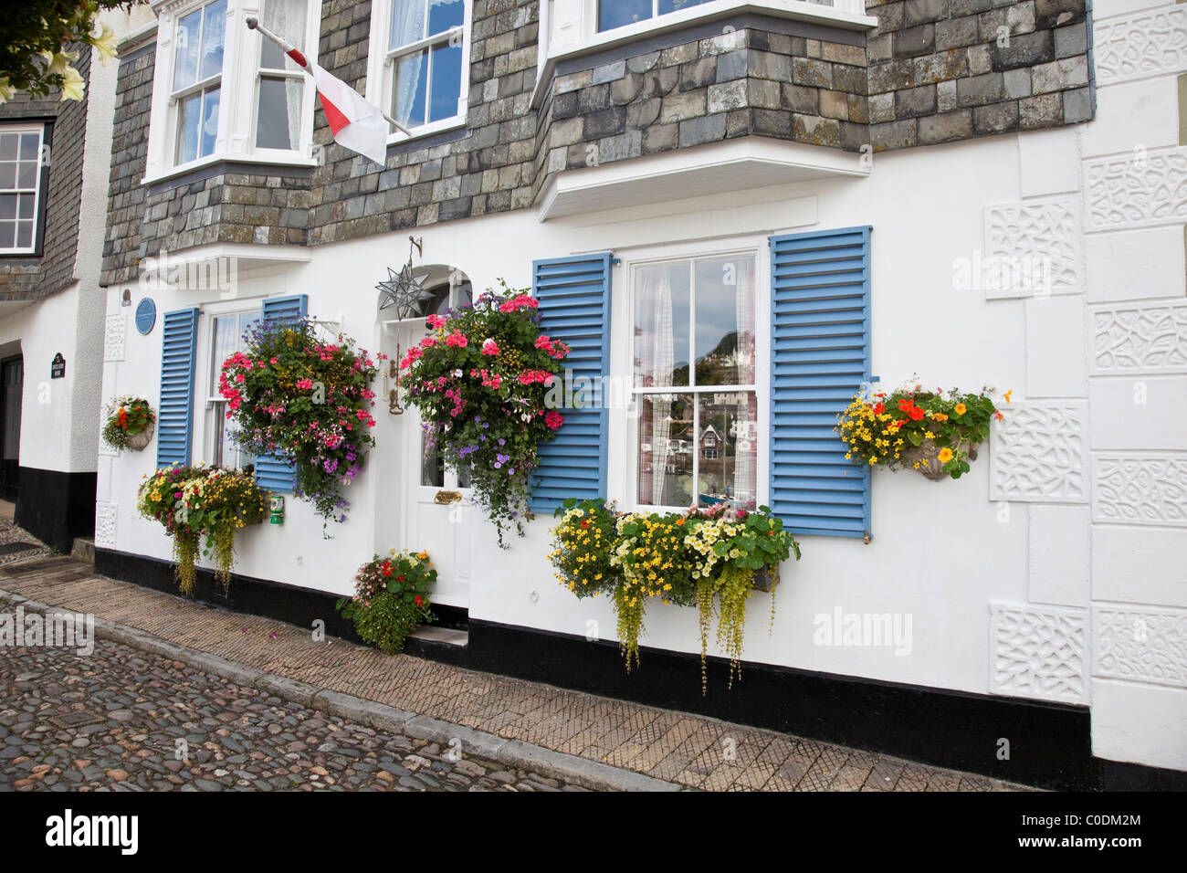 Blüte im Sommer in Dartmouth, Devon Hängeaufbewahrung Stockfoto