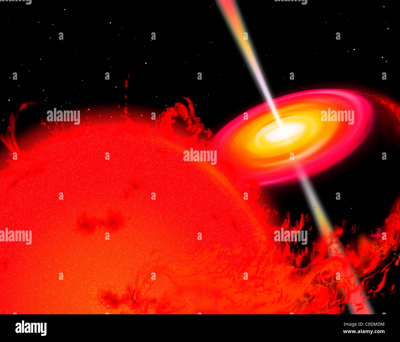 Ein roter Riese Sterne umkreisen ein schwarzes Loch, das in der Materie aus dem Stern zeichnet. Stockfoto
