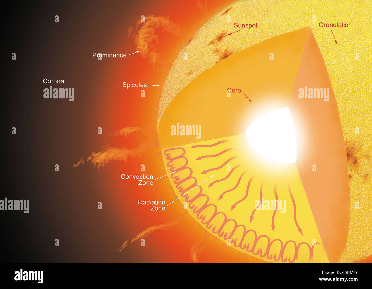 Eine Querschnittsansicht der Sonne, zeigt seine verschiedenen Teile und die Ströme, die darin fließen. Stockfoto