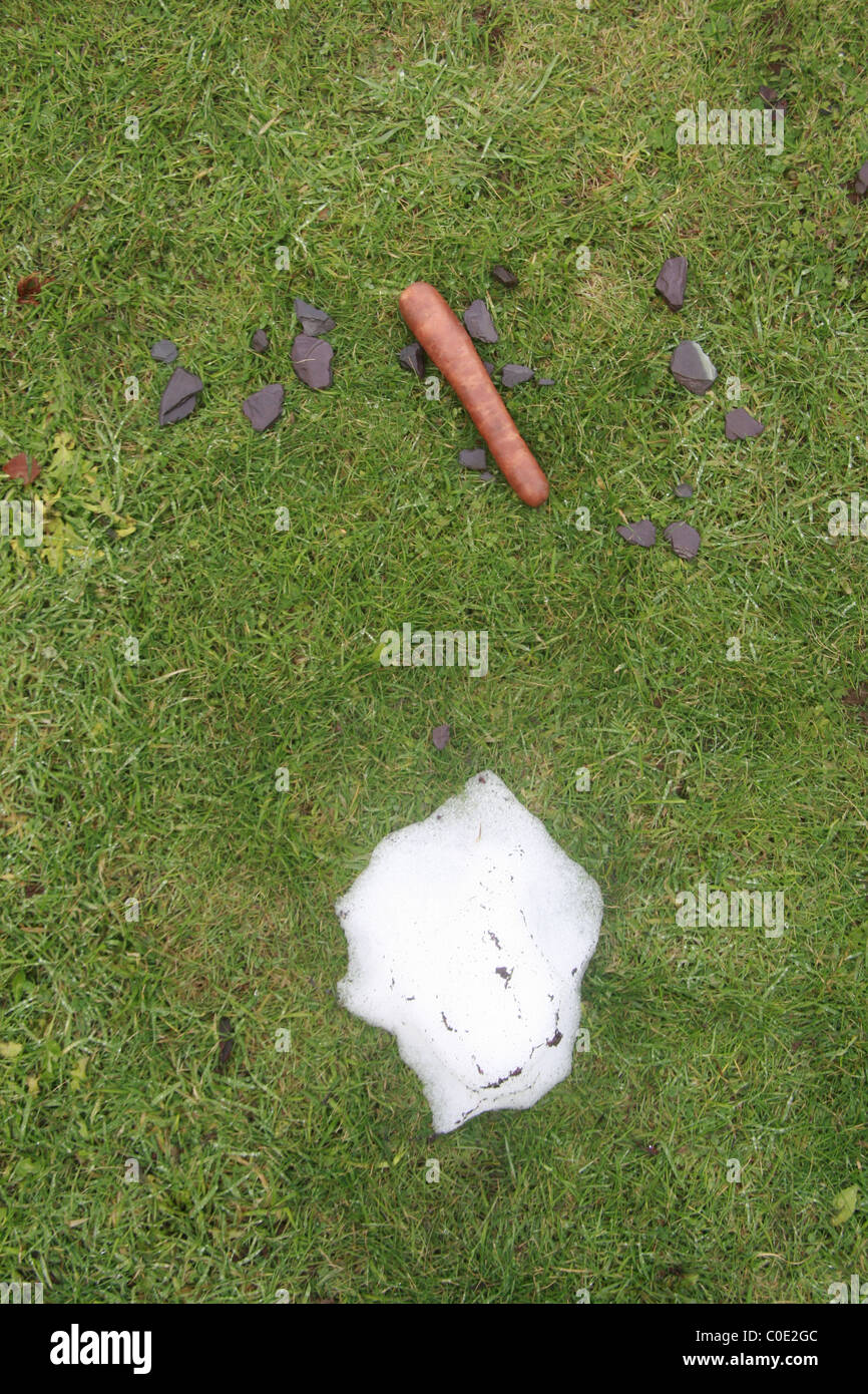 geschmolzene Schneemann im Feld Stockfoto