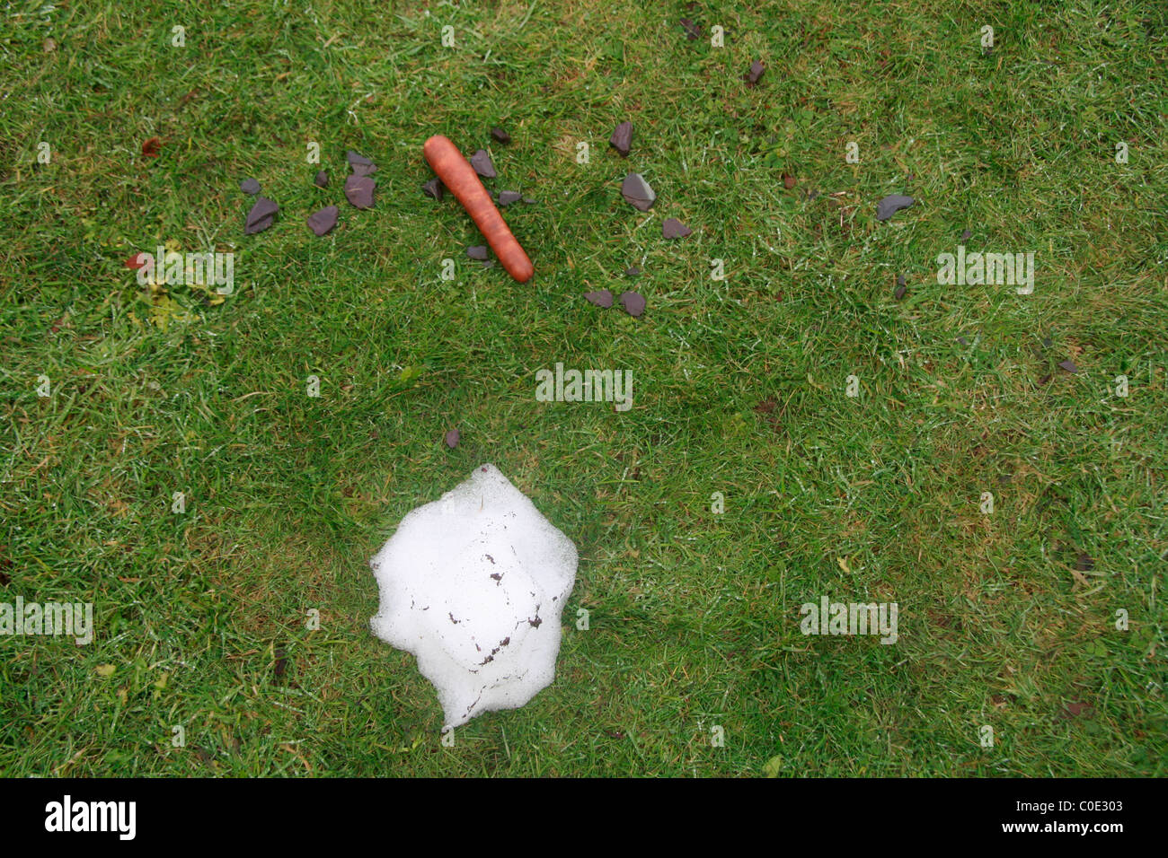 geschmolzene Schneemann im Feld Stockfoto