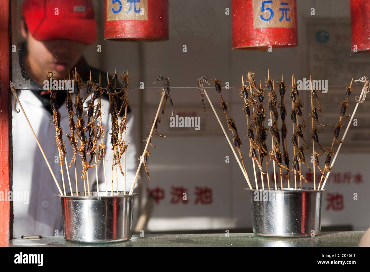 Skorpione in Wang Fu Jing Markt, Peking, China Stockfoto