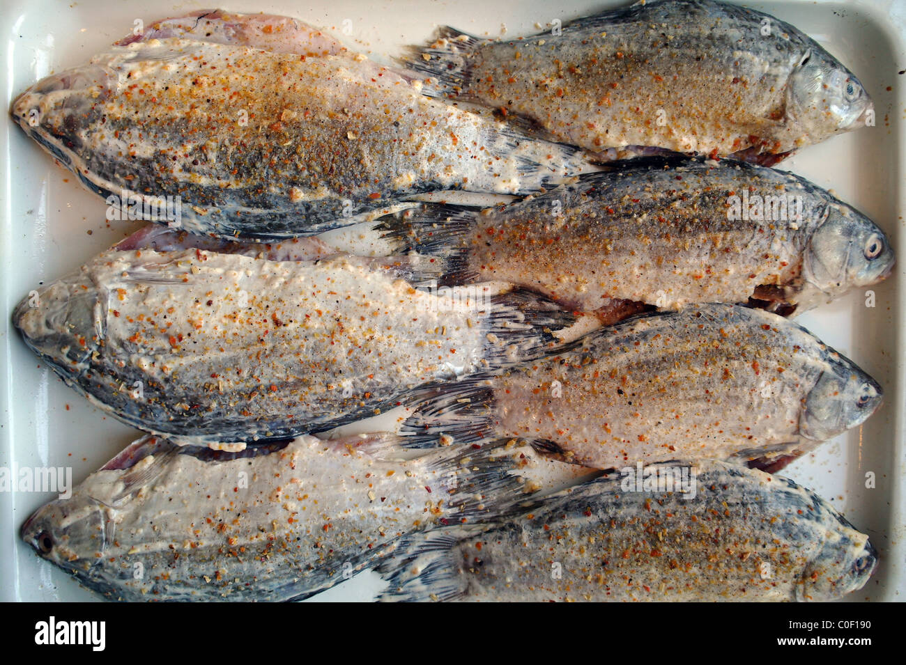 Rohöl Fischen die Karausche auf der protwin, für einen Braten vorbereitet Stockfoto