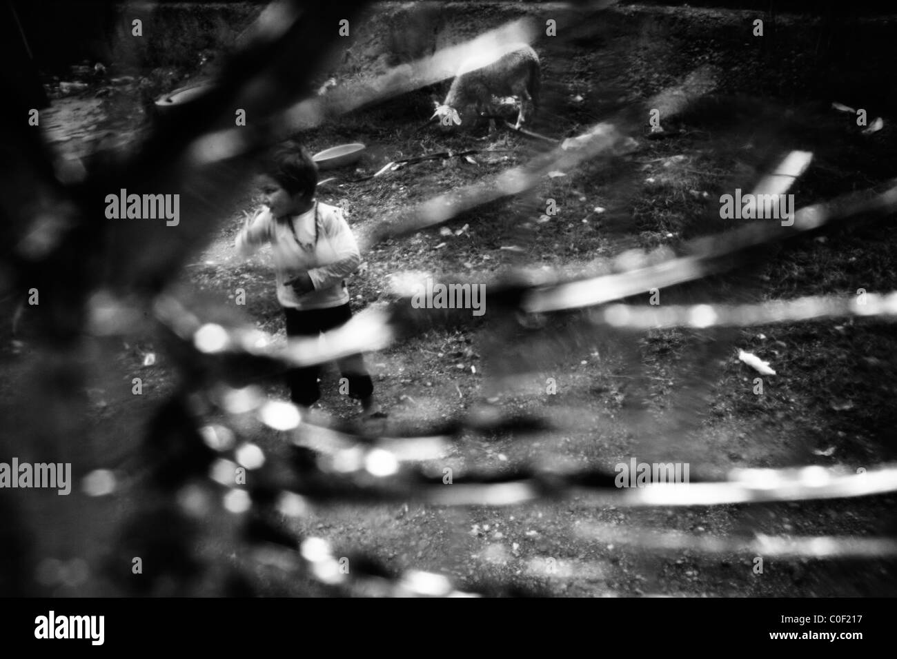 Alltag im "Osterode" Flüchtlingslager: Broken Windows oder keine Fenster überhaupt ist ein alltäglicher Anblick Stockfoto