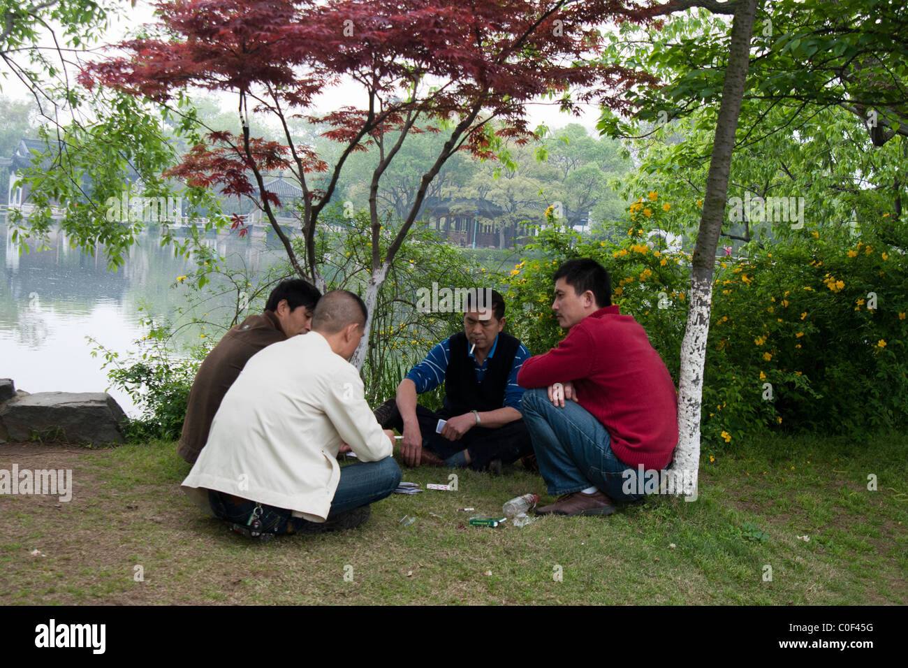 Chinesische Männer sitzen auf einer Wiese in West Lake und Spielkarten Stockfoto