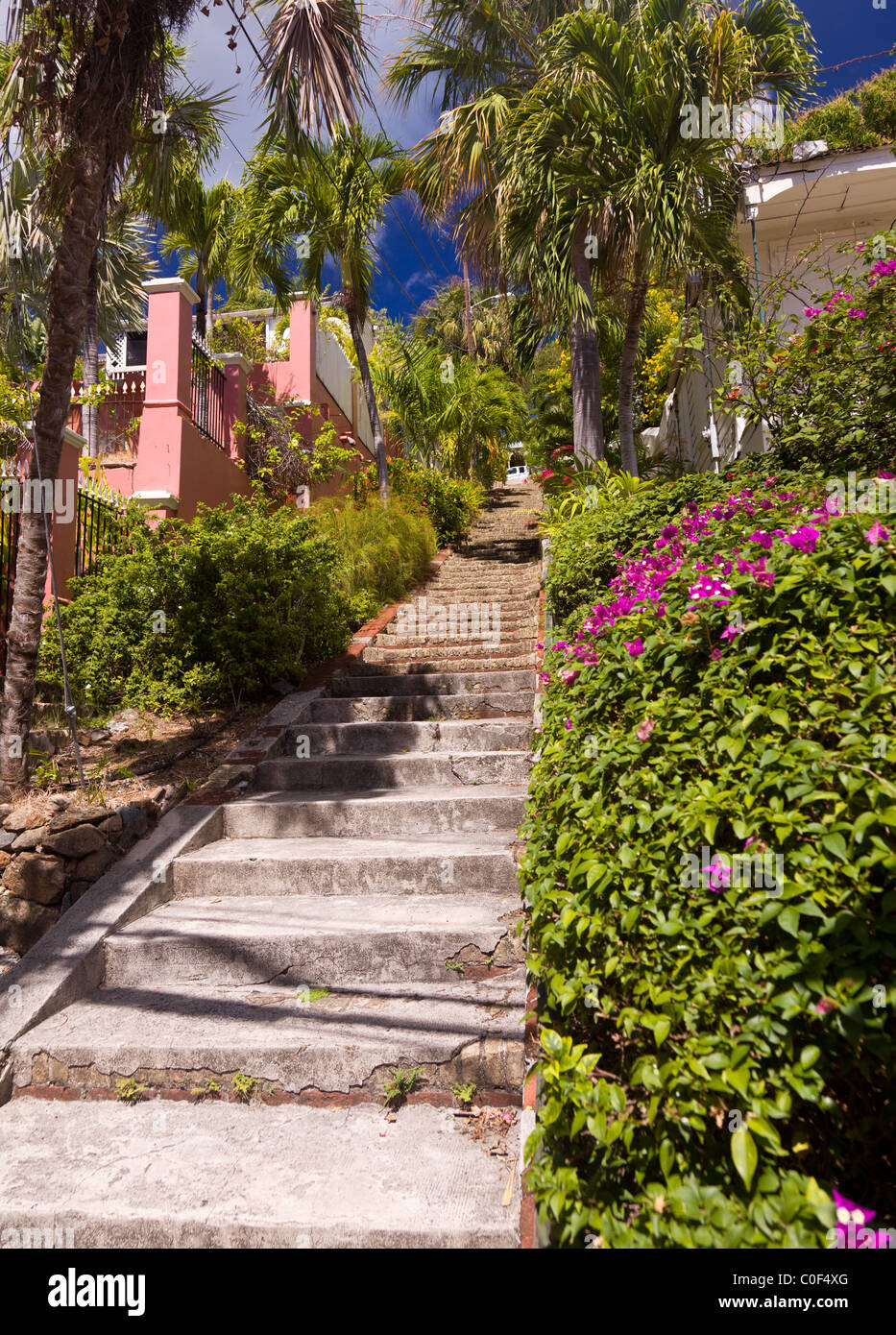Die 99 Stufen in Charlotte Amalie auf St. Thomas, Amerikanische Jungferninseln Stockfoto