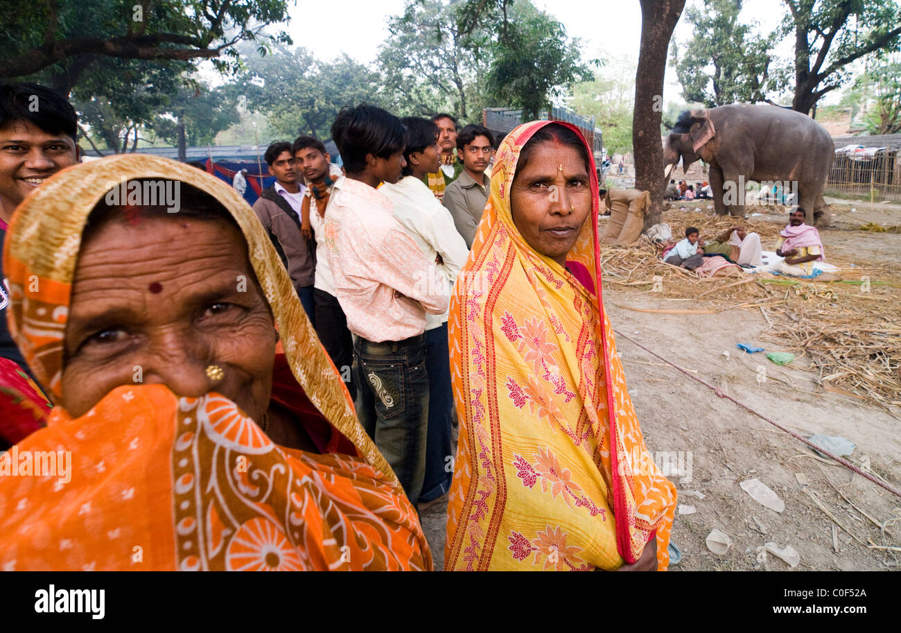 Bunte Szenen auf dem Elefanten-Markt im Sonepur Mela in Bihar. Stockfoto