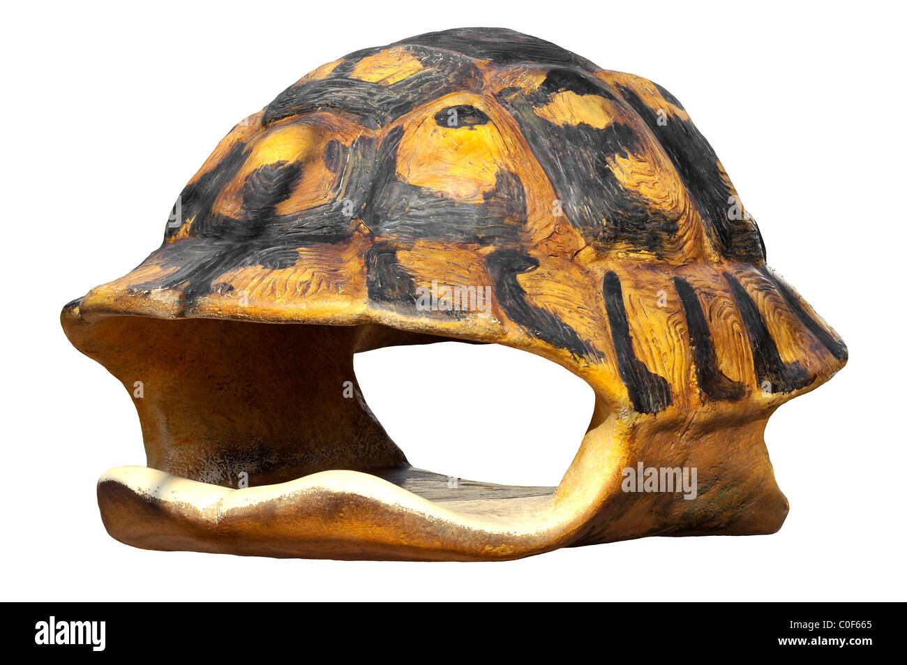 Leere Hülle von Schildkröte isoliert auf weißem Hintergrund Stockfoto