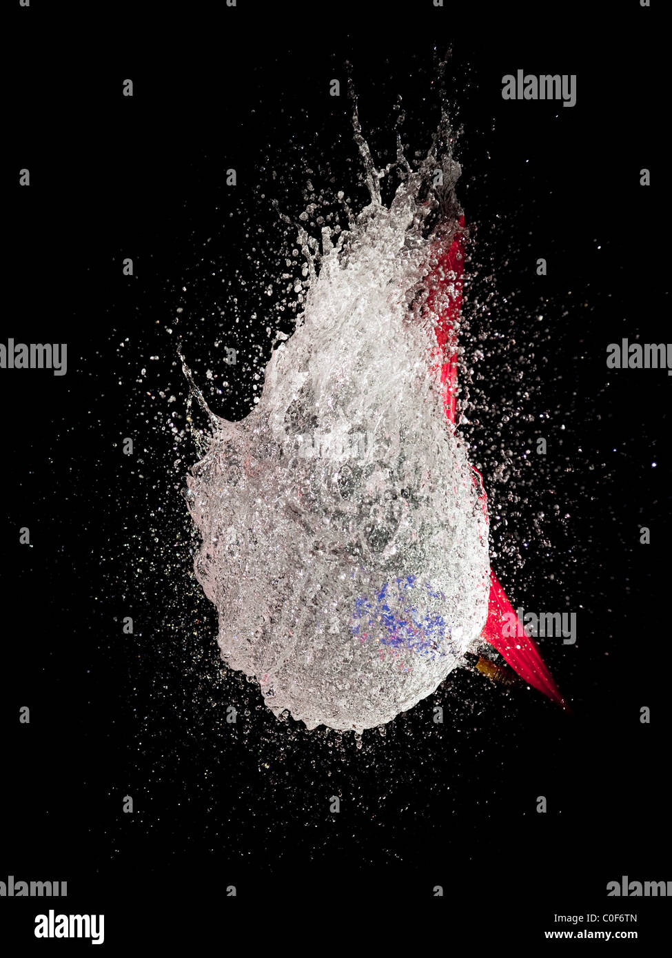 Ein Bild einer Sequenz zeigt high-Speed Flash-Fotografie mit einem Dart einen mit Wasser gefüllten Ballon platzen. Stockfoto