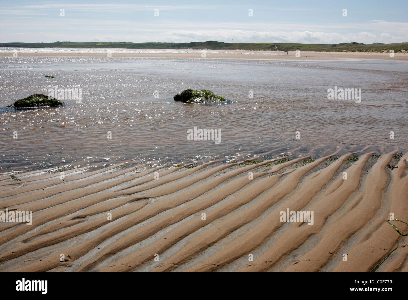 Cruden Bay auf der Nord-Ost Küste von Schottland Stockfoto