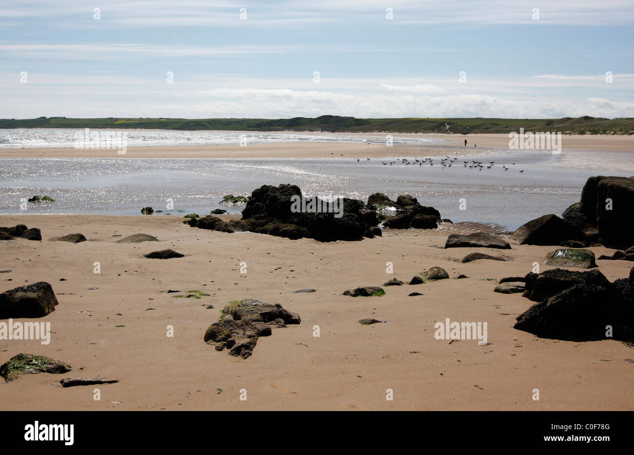 Cruden Bay auf der Nord-Ost Küste von Schottland Stockfoto