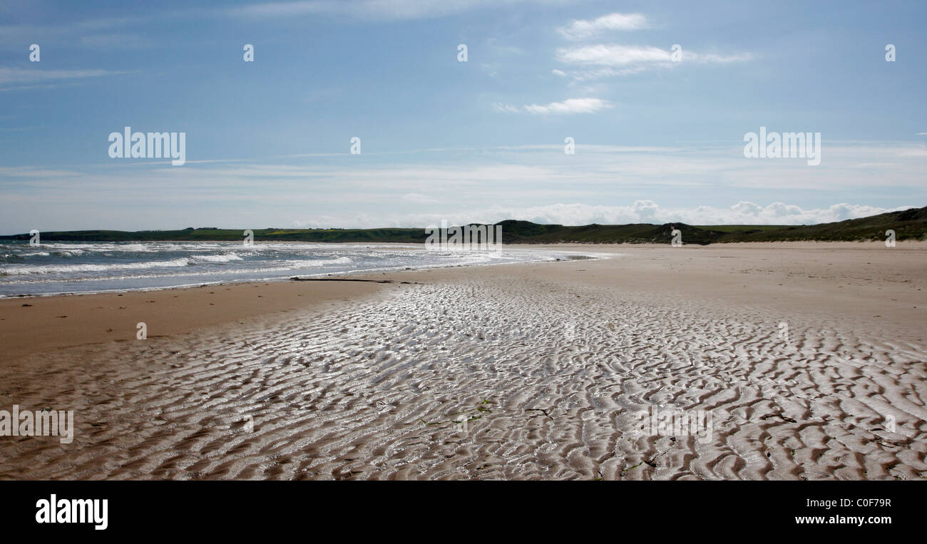 Cruden Bay auf der Nord-Ost Küste von Schottland Stockfoto